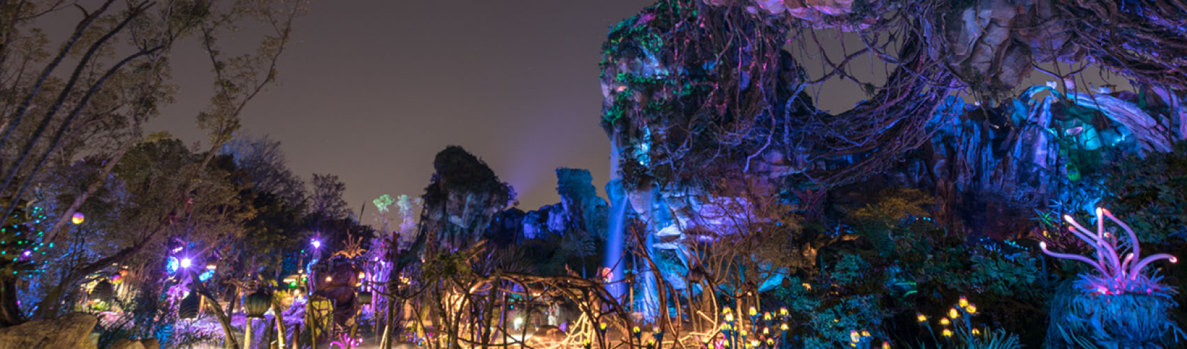 Disney's Animal Kingdom Theme Park
