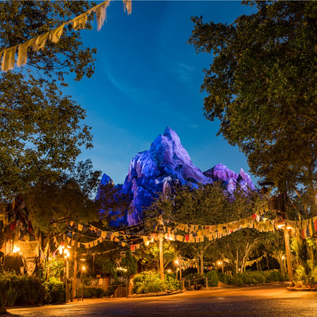 Disney's Animal Kingdom Theme Park