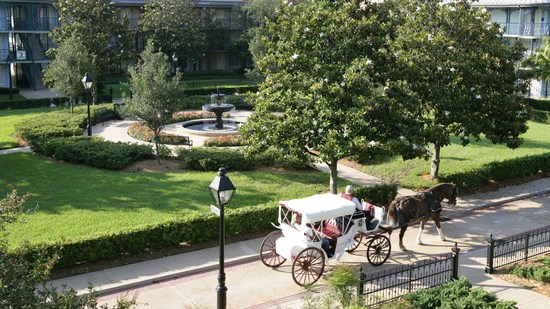 Passeios de carruagem 